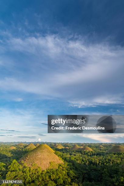 chocolate hills - forêt pluviale stock-fotos und bilder