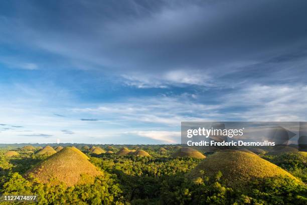 chocolate hills - forêt tropicale humide stock pictures, royalty-free photos & images