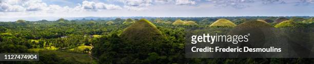 chocolate hills - forêt tropicale humide stock pictures, royalty-free photos & images