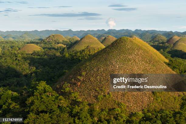 chocolate hills - forêt tropicale humide stock pictures, royalty-free photos & images