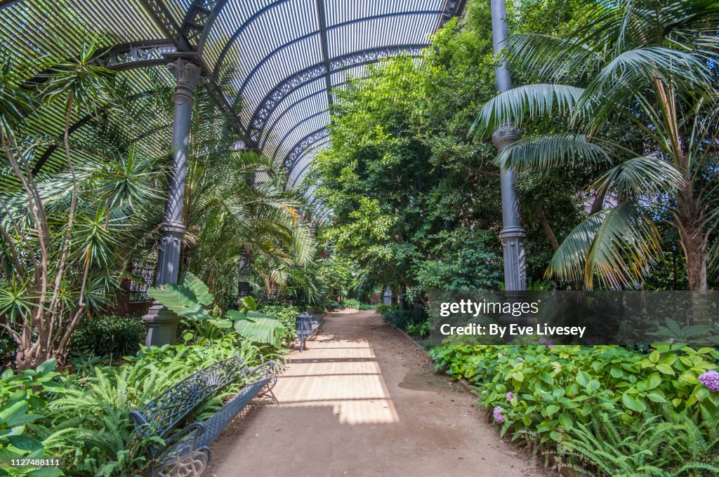 Greenhouse Interior in Ciutadella Park