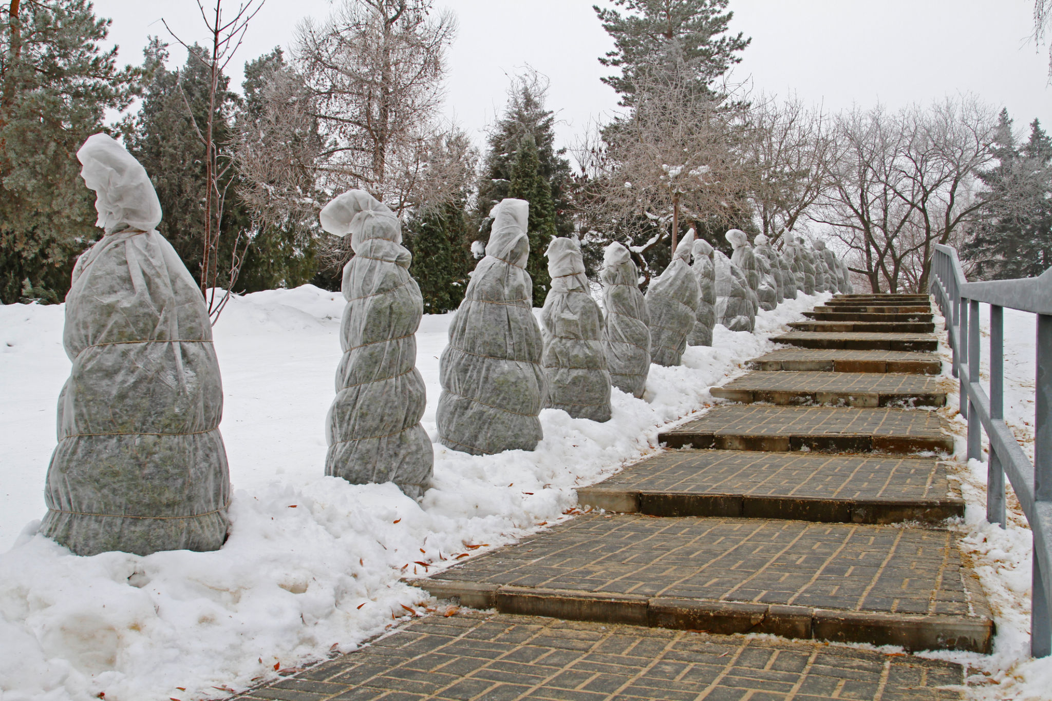 winter landscape preparation