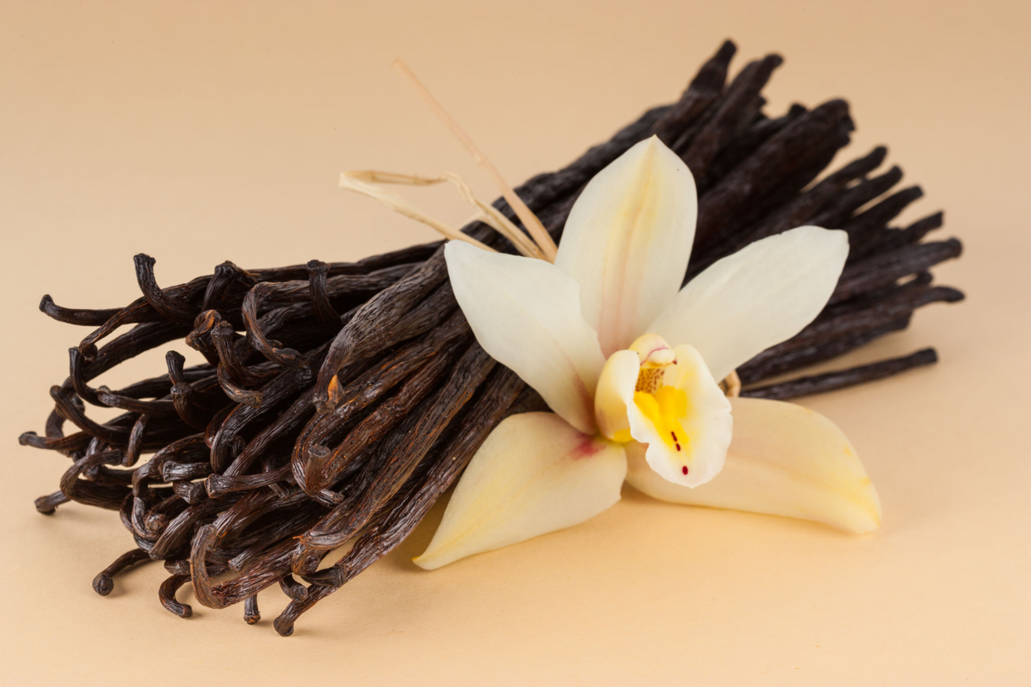 aromatherapy vanilla