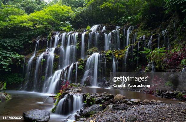 peaceful banyu wana amertha waterfall"n - singaraja imagens e fotografias de stock