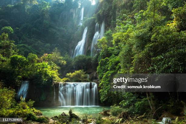 tee lor zu waterfall in summer - tropical forest fotografías e imágenes de stock