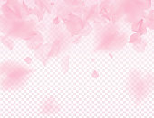 Pink sakura petals transparent background. A lot of falling petals 3D romantic valentines day illustration. Spring tender light backdrop. Translucent overlay tenderness romance design