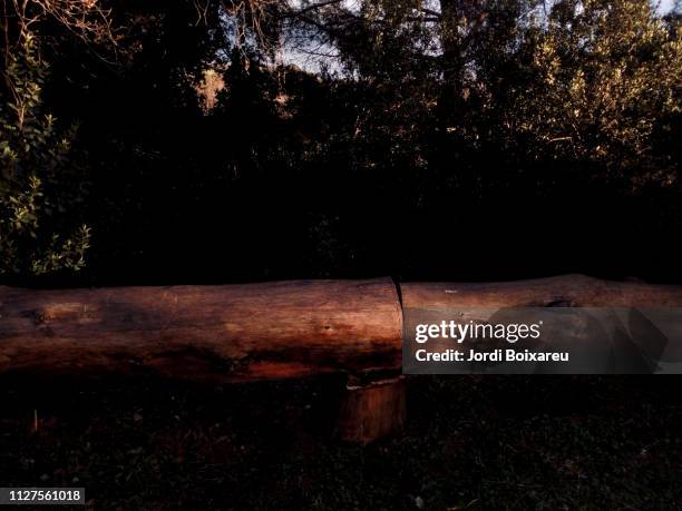 trunk made bench - banco asiento - fotografias e filmes do acervo