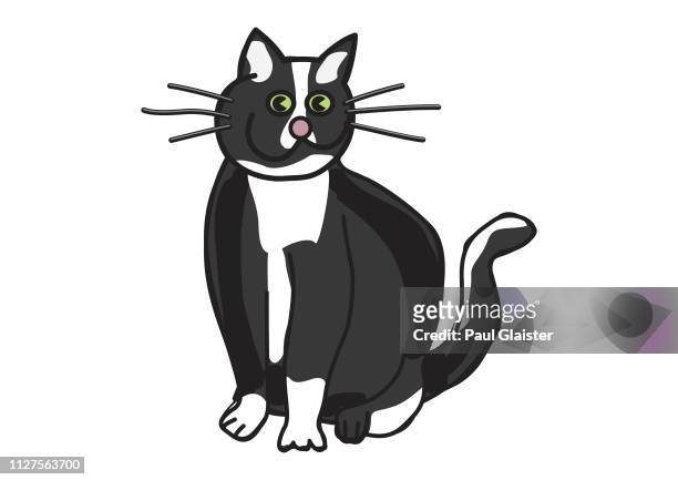 219 Fat Cat High Res Illustrations - Getty Images