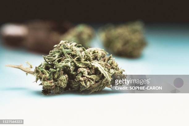 cannabis, marijuana - crimes et délits stockfoto's en -beelden