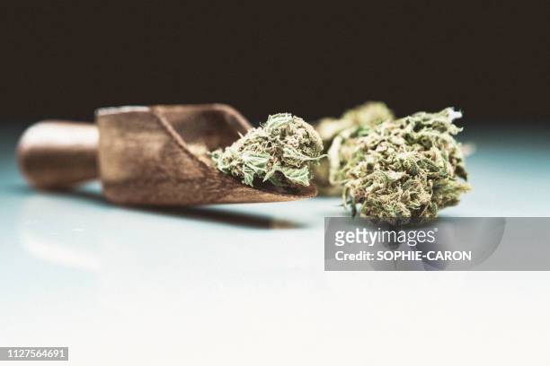 cannabis, marijuana - mise au point sélective stock pictures, royalty-free photos & images