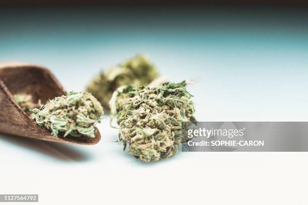 cannabis, marijuana - mise au point sélective stock pictures, royalty-free photos & images