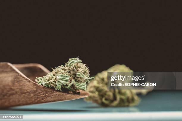 cannabis, marijuana - crimes et délits stockfoto's en -beelden