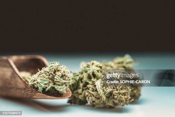 cannabis, marijuana - crimes et délits stockfoto's en -beelden