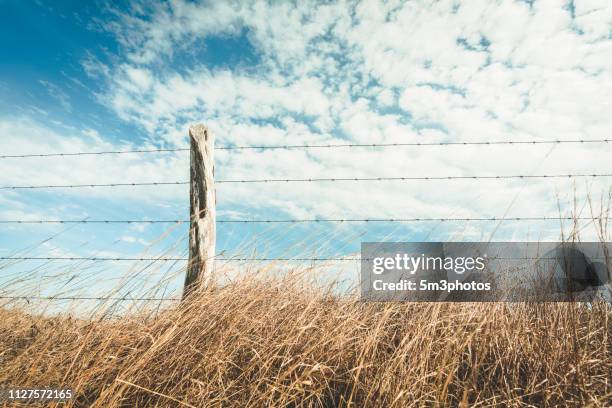 mesquite fence post with long prairie grass and sky - american ranch landscape stock-fotos und bilder