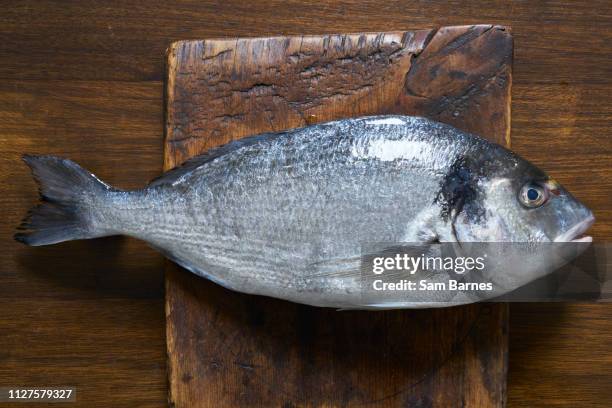 sea bream - sea bream stock pictures, royalty-free photos & images