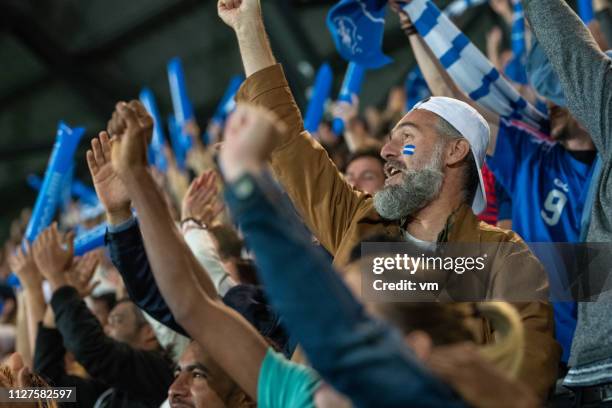 stadium crowd cheering with arms raised - football cheering stock pictures, royalty-free photos & images