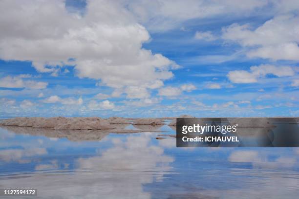salar de uyuni bolivia - admirer le paysage stockfoto's en -beelden
