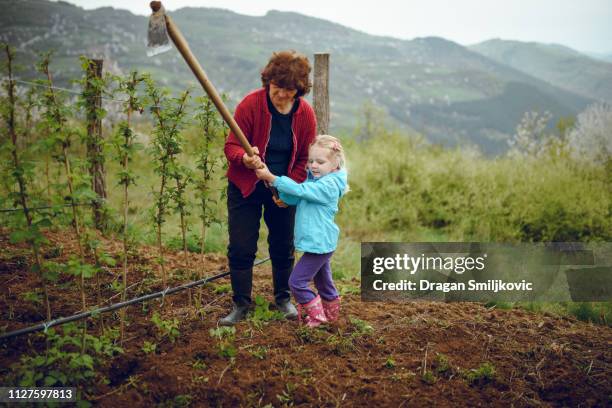 apprenticeship starts with keeping the tradition alive - serbia tradition stock pictures, royalty-free photos & images