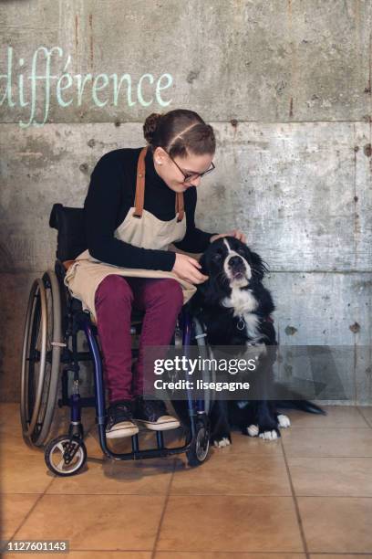 small business family created for disable people - service animals stock pictures, royalty-free photos & images