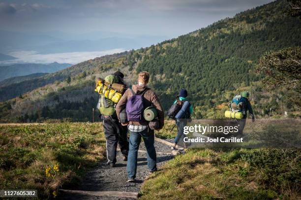 amis de randonnée avec équipement de camping sur roan mountain, sentier des appalaches - appalachia trail photos et images de collection