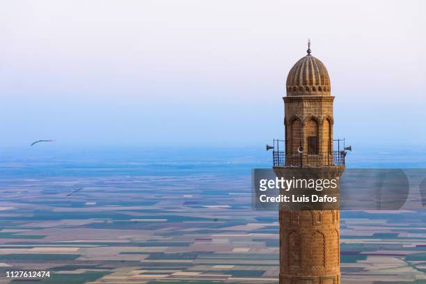 12th century minaret of the ulu cami great mosque of mardin - irakische kultur stock-fotos und bilder