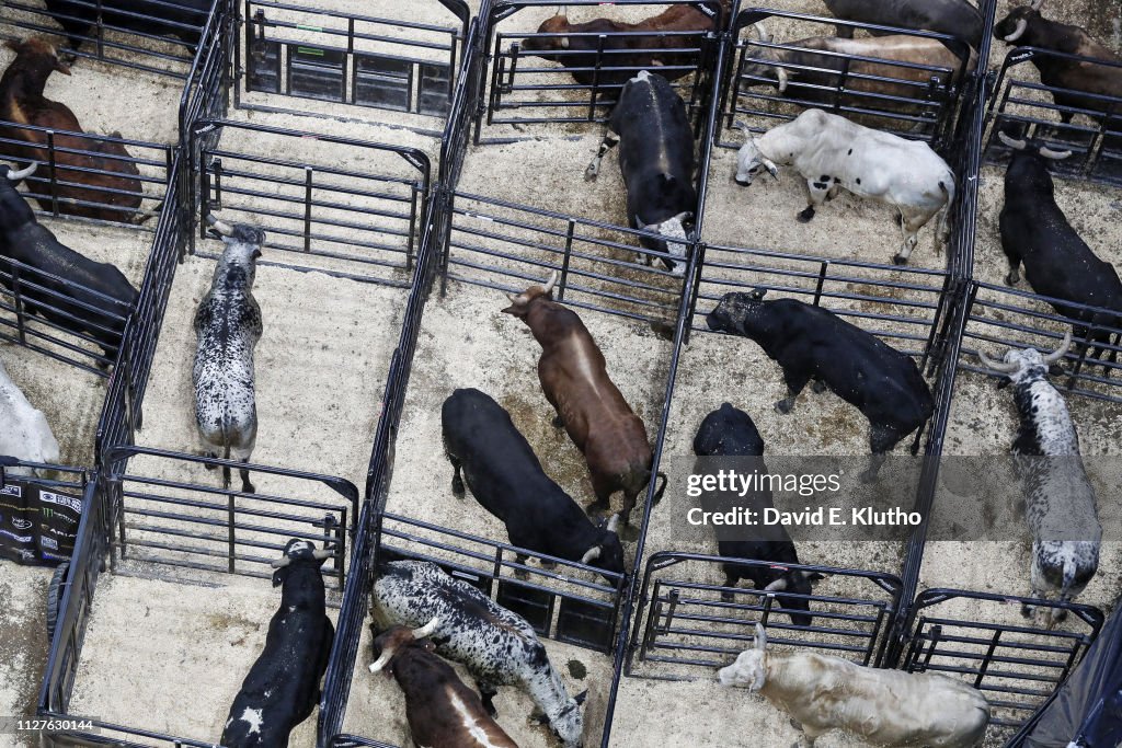 Bull Riding Cage Aerial view of bulls in cages before competition at Enterprise... News ...