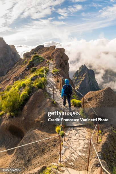 woman hiking on pr1 trail, madeira. - funchal photos et images de collection