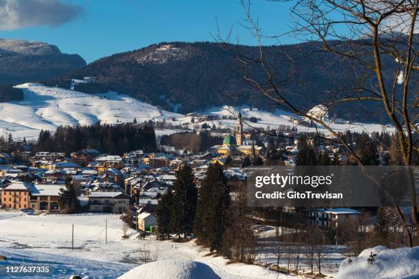 asiago - panorama - conifera stockfoto's en -beelden