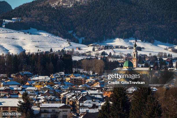 asiago - panorama - conifera stockfoto's en -beelden