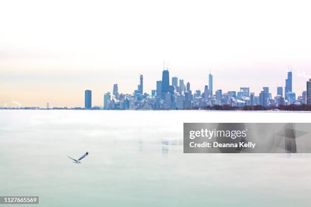 polar vortex chicago skyline and lake michigan - chicago skyscraper stock pictures, royalty-free photos & images