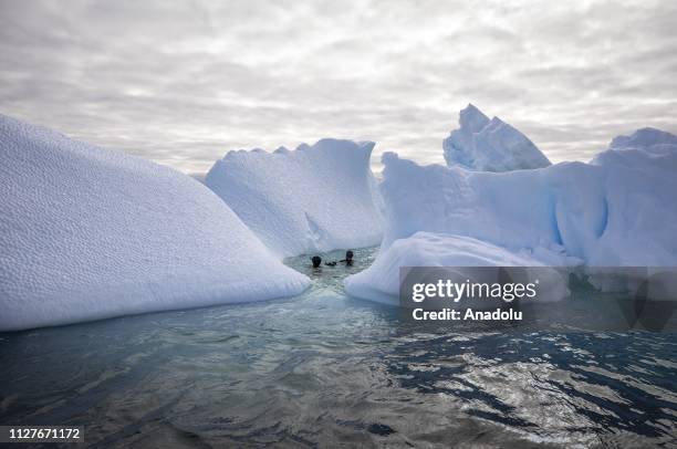 Sahika Ercumen, an internationally renowned Turkish diver, accompanied by Jonathan Sunnex, a professional free-diver from New Zealand, swims during...