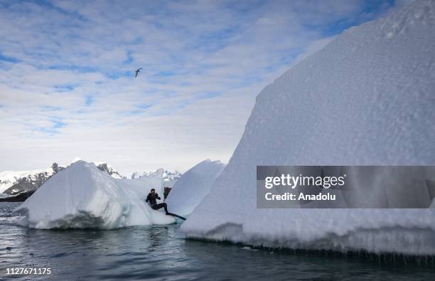 Jonathan Sunnex, a professional free-diver from New Zealand, takes photos of Sahika Ercumen, an internationally renowned Turkish diver, while...