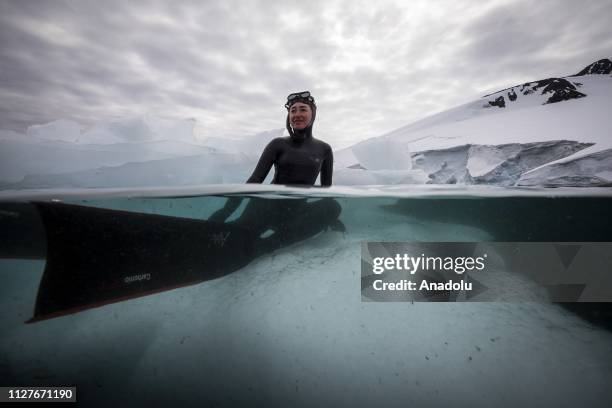 Sahika Ercumen, an internationally renowned Turkish diver, sits on an iceberg during her free-diving, marking the opening of a landmark science base,...