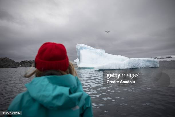 Sahika Ercumen, an internationally renowned Turkish diver, views a bird flying over an iceberg ahead of her free-diving, marking the opening of a...