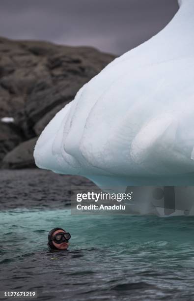 Sahika Ercumen, an internationally renowned Turkish diver, swims near an iceberg during her free-diving, marking the opening of a landmark science...