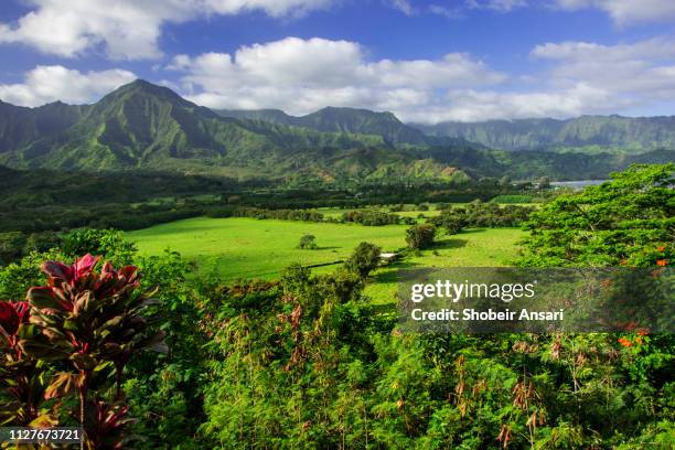 roadside scenic overlook, kauai, hawaii - bicolor color fotografías e imágenes de stock