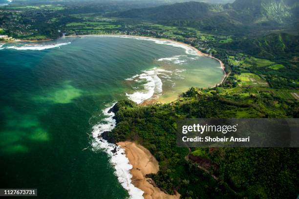 aerial view of hanalei bay, kauai. hawaii - princeville stock pictures, royalty-free photos & images