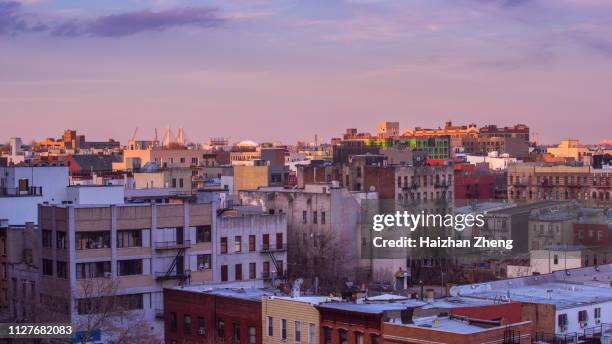 la vista remota da brooklyn, sul quartiere residenziale - brooklyn foto e immagini stock