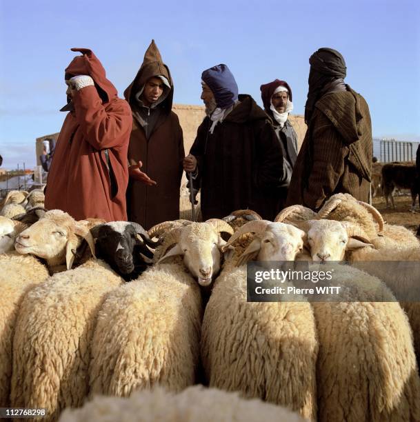 Elmo Rocoo Oriental Eastern Morocco Photos and Premium High Res Pictures - Getty ...