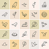Birds icon set. Logotype or brand for company. Web site isolated icon set.