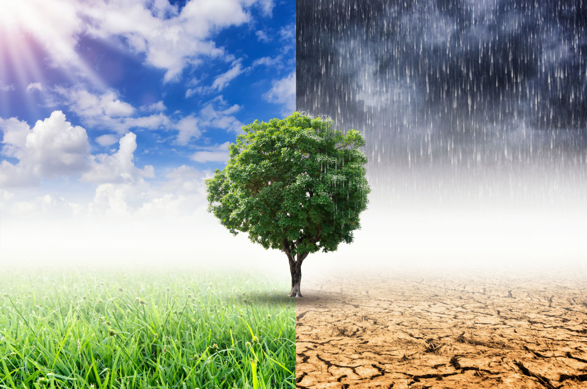 weather challenges