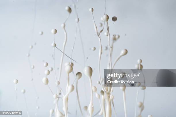 dancing white milk in mid air with group of small droplets with white background - gravedad cero fotografías e imágenes de stock