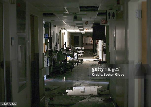 Forty Four bodies were removed Sunday, September 11, 2005 from Memorial Medical Center in New Orleans, LA. A hospital official said the patients had...