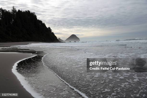 arizona beach state recreation site, oregon, usa - oregon v arizona stock pictures, royalty-free photos & images