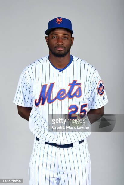 Adeiny Hechavarria of the New York Mets poses during Photo Day on Monday, February 25, 2019 at First Data Field in Port St. Lucie, Florida.