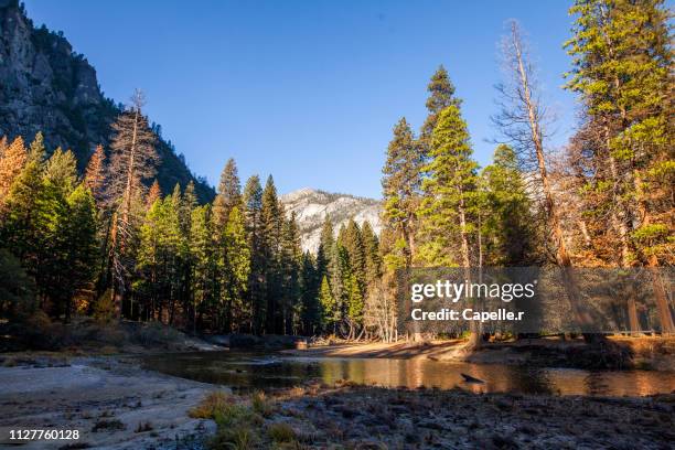 river and lake - yosemite national park - merced river stock pictures, royalty-free photos & images