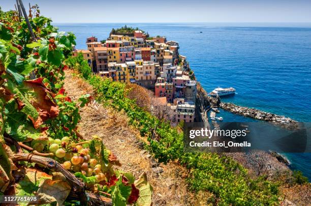 veduta aerea di manarola. cinque terre. liguria. italia - liguria foto e immagini stock