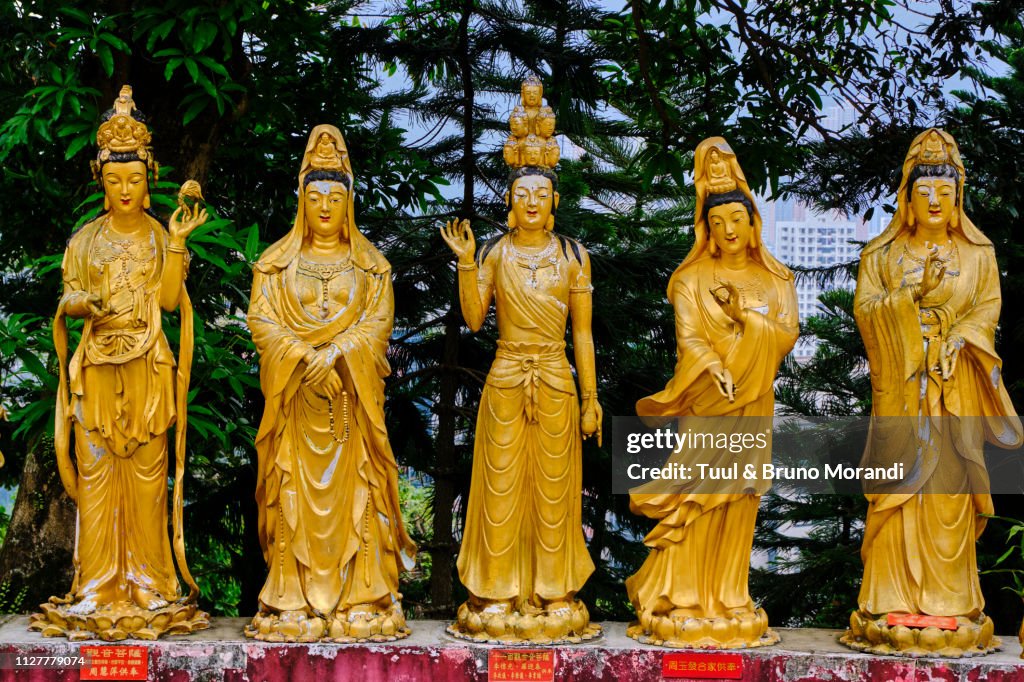 China, Hong Kong, Kowloon, Ten Thousand Buddhas Monastery