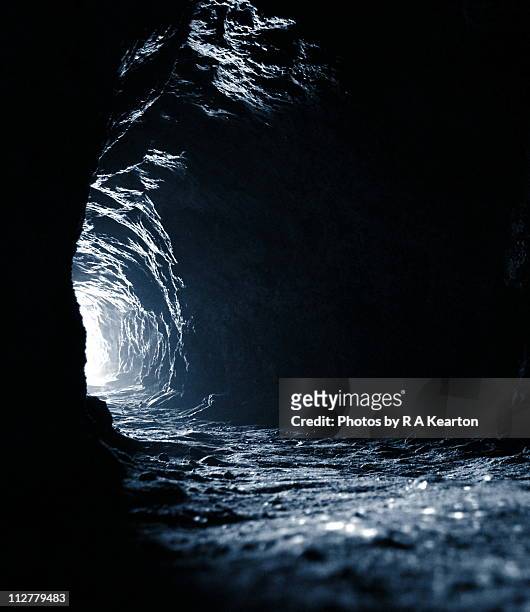 the beasts lair - cave stock pictures, royalty-free photos & images