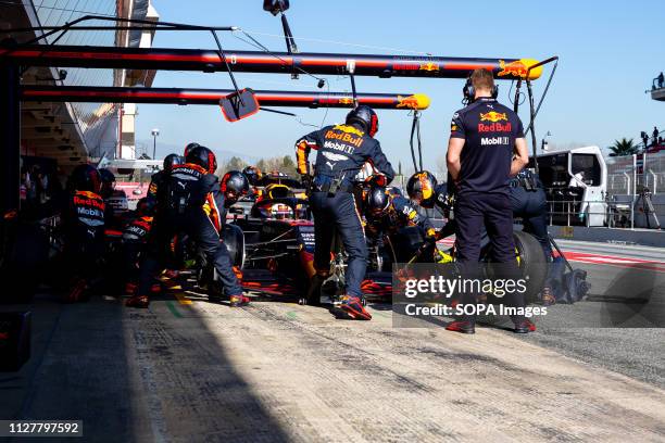 F1 Racing Team Changing 193 686 Red Bull Racing F1 Team Stock Photos, High-Res Pictures, and ...